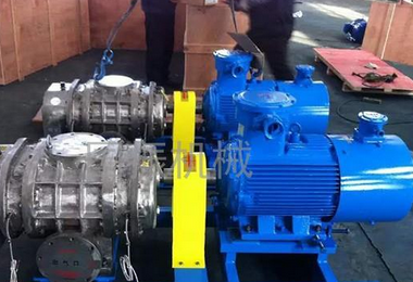 羅茨風(fēng)機(jī) 羅茨風(fēng)機(jī)